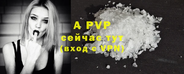 дживик Абаза