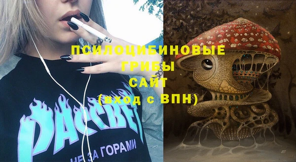 ПСИЛОЦИБИНОВЫЕ ГРИБЫ Абинск