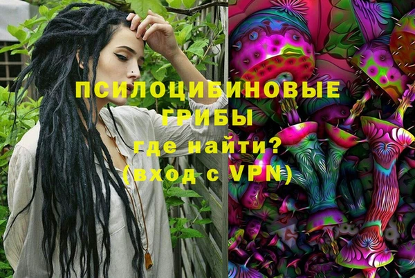дживик Абаза