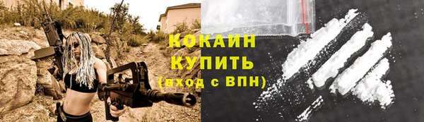 дживик Абаза