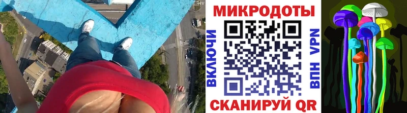 Галлюциногенные грибы Psilocybine cubensis  Уфа 